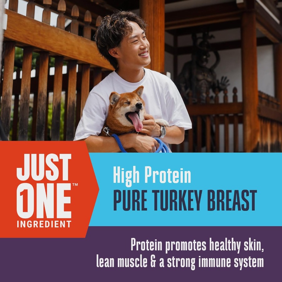 Whole Life Dog Just One Turkey - Healthy Snacks Food incelemesi ve fiyatı