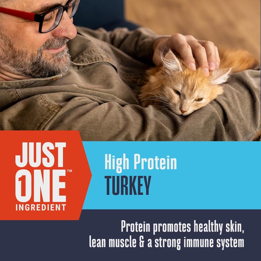 Whole Life Cat Just One Turkey - Food Snacks High In Protein incelemesi ve fiyatı