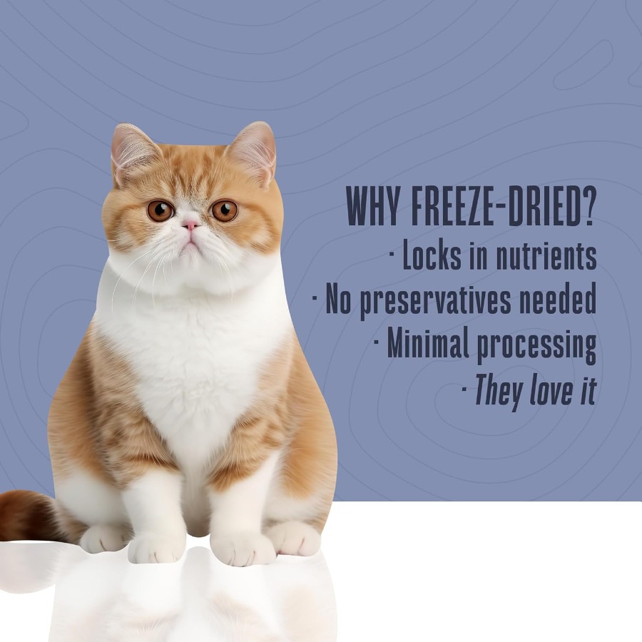 Whole Life Cat Just One Turkey - Food Snacks High In Protein incelemesi ve fiyatı