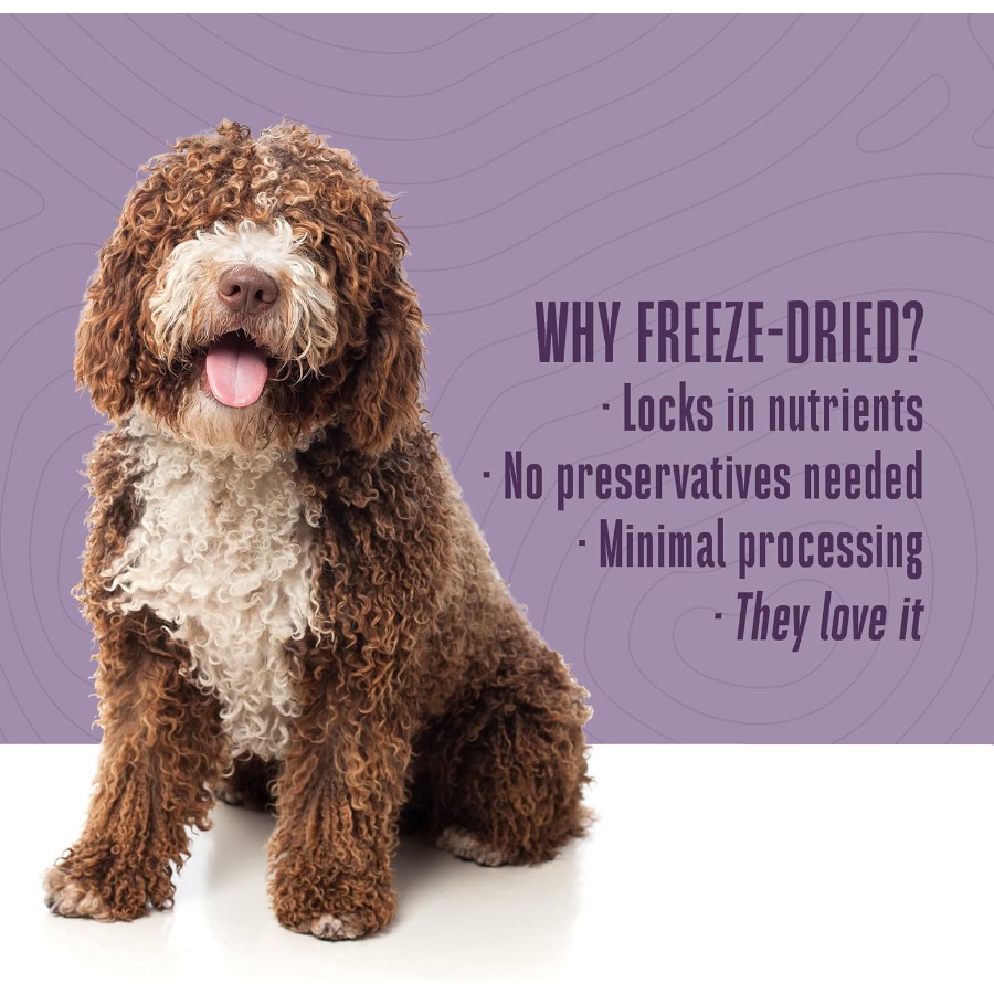 Whole Life Dog Just One Chicke - Healthy Snacks Food incelemesi ve fiyatı